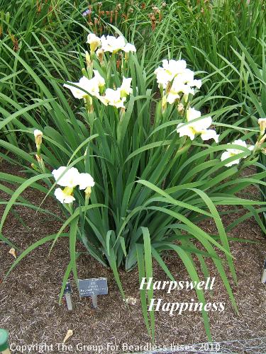 14 Harpswell Happiness